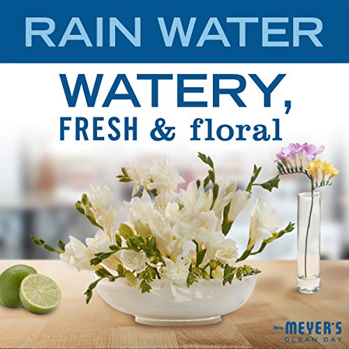 MRS. MEYER'S CLEAN DAY Hand Soap, Made with Essential Oils, Rain Water, 12.5 fl. oz - Pack of 6