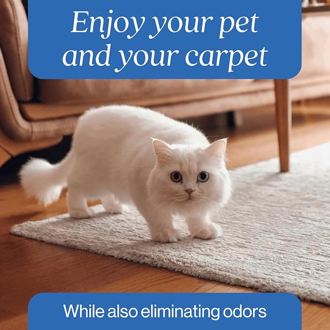 Oxy Pet Carpet Cleaner Spray | Pet Stain Remover for Pet Urine, Cat Pee, Dog Poop | Deep Spot Treating Action on Carpeting, Upholstery, Laundry, Pet Beds & More (32 Fl Oz)