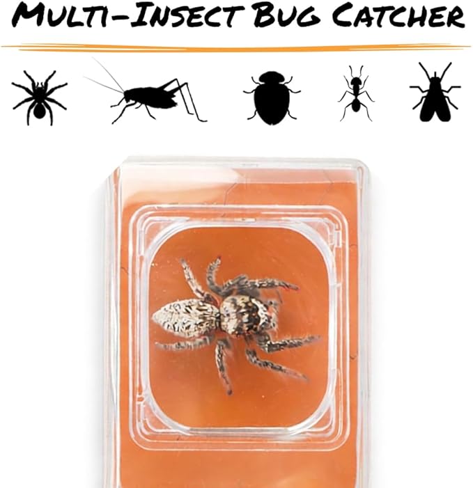 Carson BugView 5X Magnifying Glass Quick-Release Bug Catcher Indoor and Outdoor Tool for Kids or Adults (HU-10)