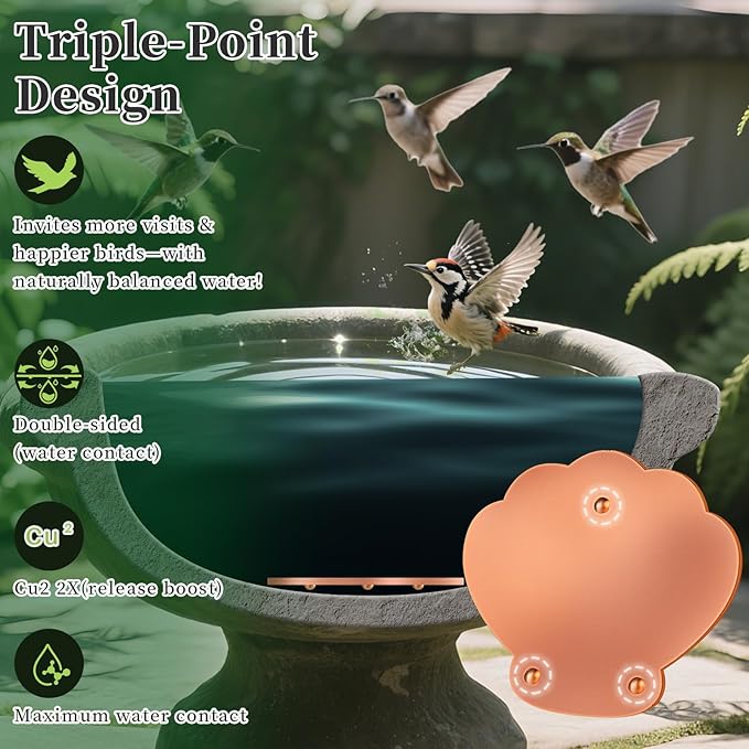 Bird Bath Copper Disk, 2pcs Shell Shaped 99.99% Pure Copper Cleaning Disc Plate for Physical Safe Water Purification All-Season for Outdoor Wildlife Bird Bowls Birdbaths Solar