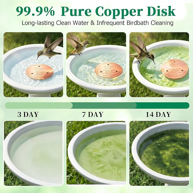Bird Bath Copper Disk, 0.6mm Reinforced 99.99% Pure Copper Cleaning Disc Plate for Physical Safe Water Purification All-Season for Outdoor Wildlife Bird Bowls Birdbaths Solar