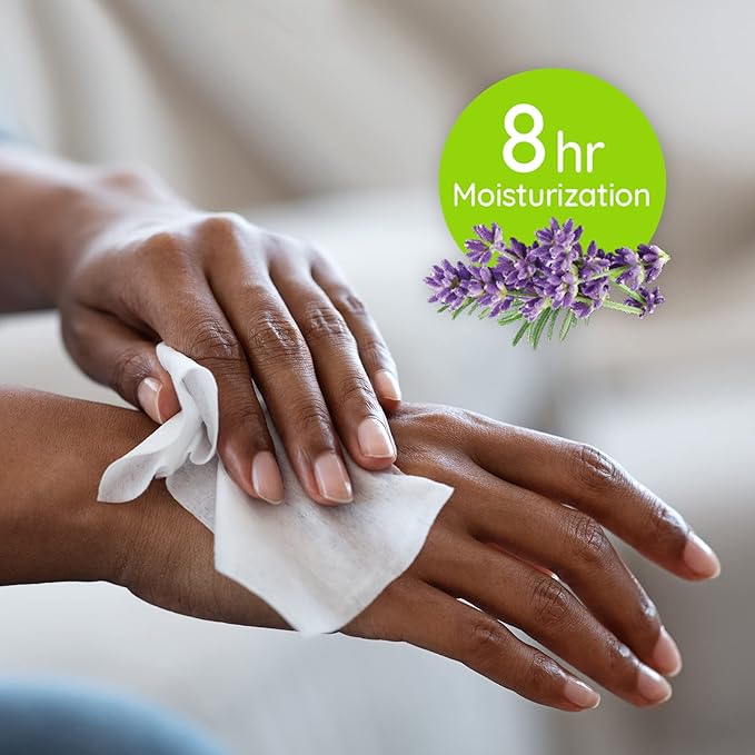 Wet Ones Antibacterial Lavender Hand Wipes | Travel Wipes Case, Moisturizing | 20 ct. Travel Size Wipes (10 pack)
