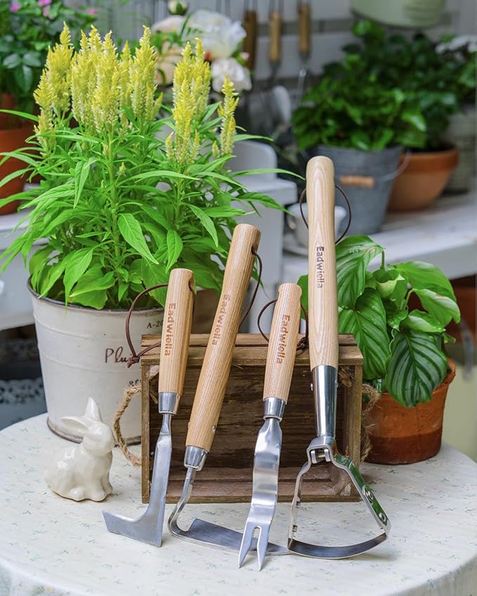 Crack Weeder Crevice Weeding Tool for in Between Pavers Weed Removal Tool for Sidewalk Deck Paver Crack Weed Remover Cleaning Tool for Weeding Between Pavers Hand Weed Removal Hook