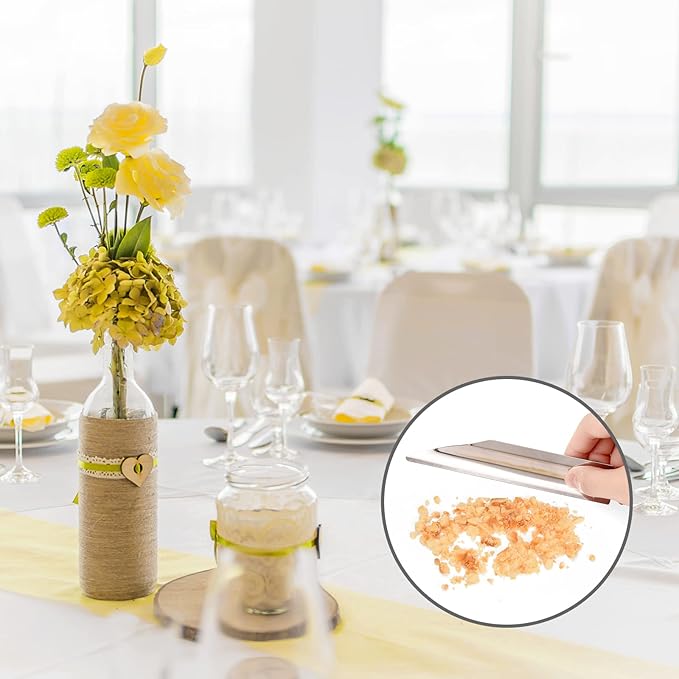 Table Crumb Sweeper, Crumb Sweeper for Tablecloth, Crumb Scraper Cumb Catcher on Table, Server Tools Stainless Steel Crumbers for Servers, Waiters and Waitresses (1 PACK, Pure Silver)