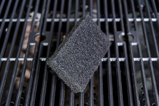 Charbroil Deluxe Griddle Scrub Brush - CB1250095P12