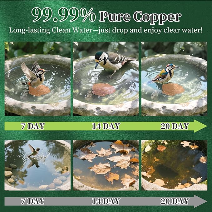 Bird Bath Copper Disk, 1pcs Shell Shaped 99.99% Pure Copper Cleaning Disc Plate for Physical Safe Water Purification All-Season for Outdoor Wildlife Bird Bowls Birdbaths Solar