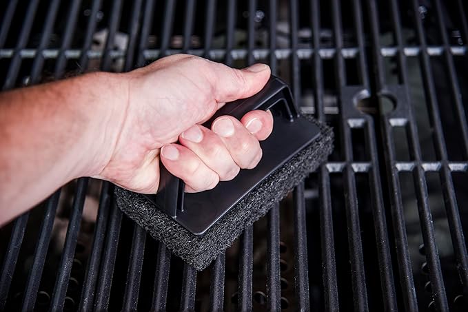 Charbroil Deluxe Griddle Scrub Brush - CB1250095P12