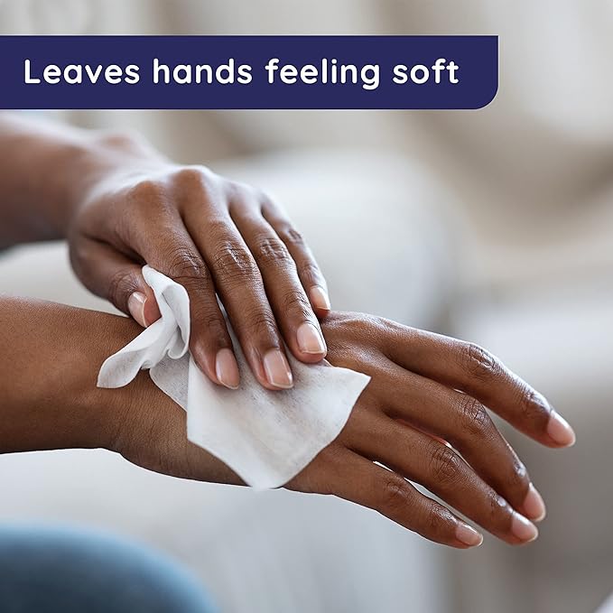 Wet Ones Hand Wipes, 20 Wipes (Pack of 20)
