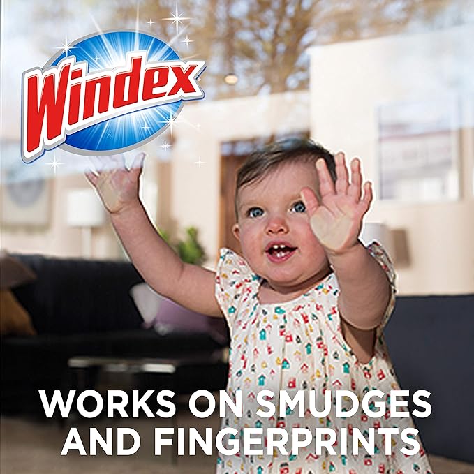 Windex Wipes Glass Cleaning Ammonia Free, Pre-Moistened Wipes for Cleaning All Glass Surfaces, Crystal Rain Fresh Scent, 25 Count (Pack of 2)